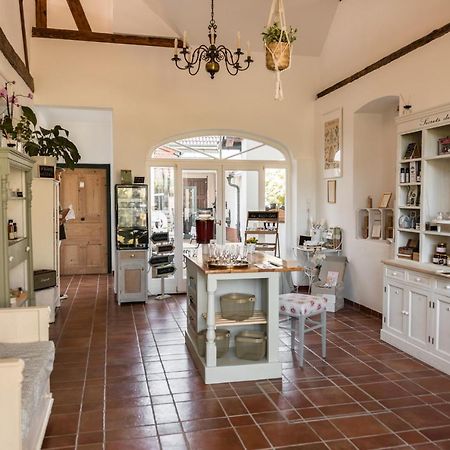 Appartement Derhofrat à Litzelsdorf Extérieur photo